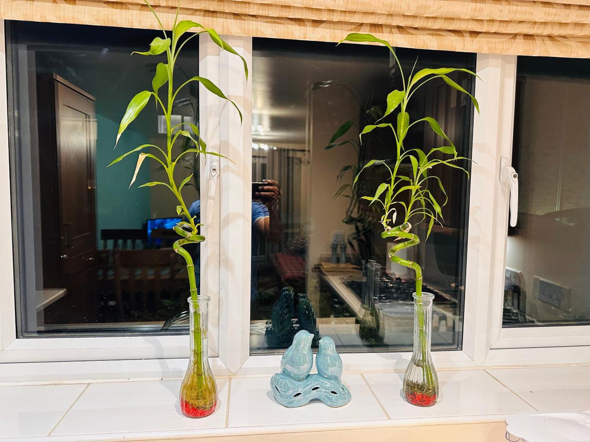 Aroma Cambridge Apartment Girton  Ngoại thất bức ảnh
